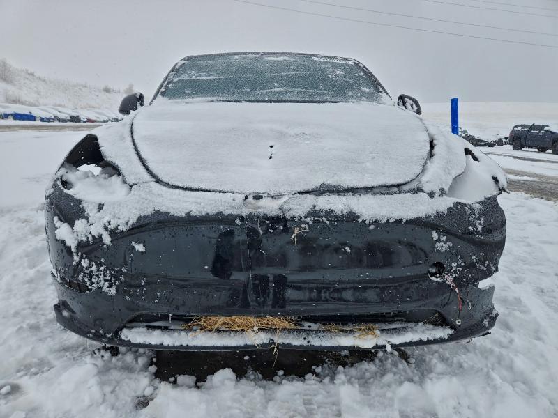 Photo 5 from auction – 2025 TESLA MODEL Y with VIN 7SAYGDEE1SF277242