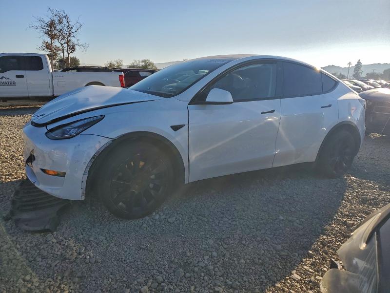 TESLA MODEL Y 2021 with VIN 5YJYGDEEXMF287364 - Photo from auction