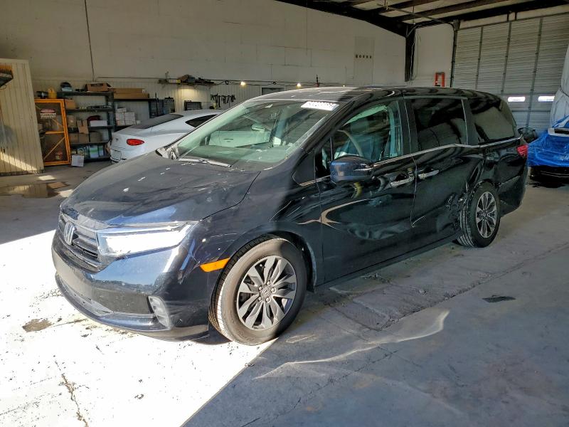 HONDA ODYSSEY EX 2021 with VIN 5FNRL6H79MB020726 - Photo from auction