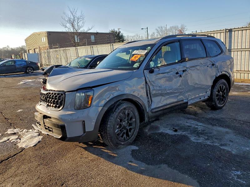 KIA TELLURIDE 2025 with VIN 5XYP3DGC2SG633724 - Photo from auction