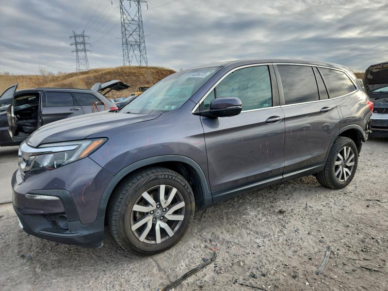 HONDA PILOT EXL 2020 with VIN 5FNYF6H54LB007429 - Photo from auction