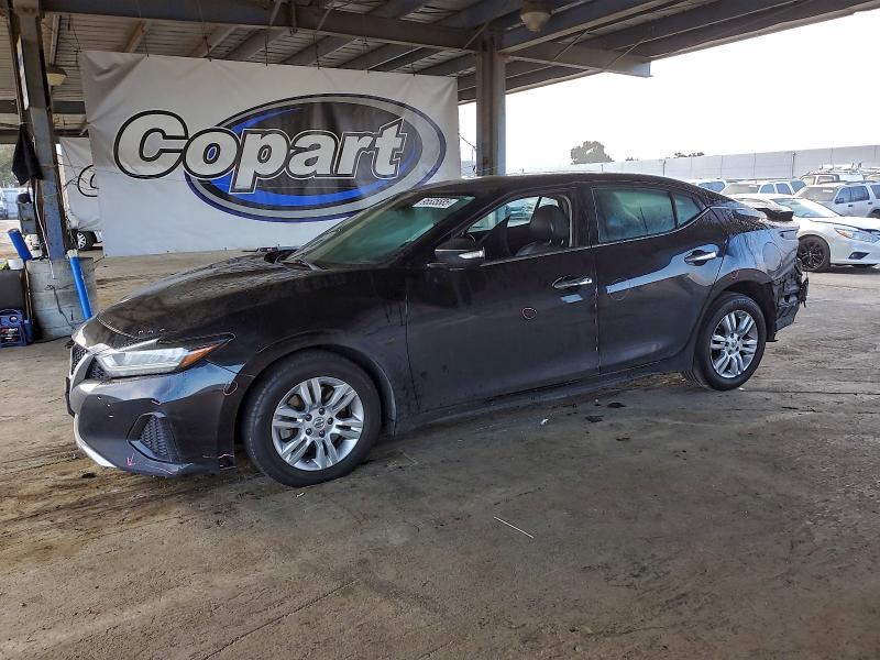 NISSAN MAXIMA S 2019 with VIN 1N4AA6AV3KC360787 - Photo from auction