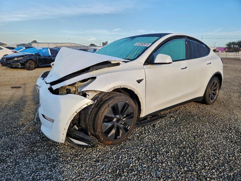 TESLA MODEL Y 2024 with VIN 7SAYGDED8RF117778 - Photo from auction