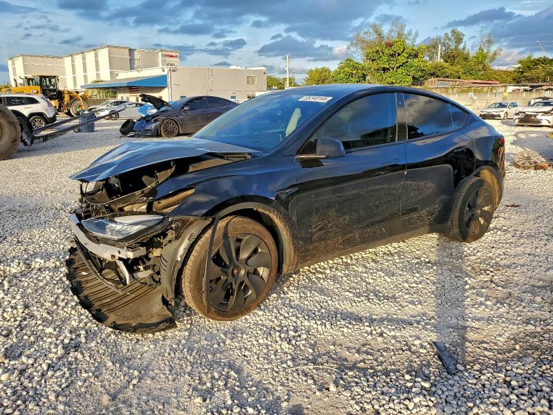 TESLA MODEL Y 2023 with VIN 7SAYGDEE1PA058608 - Photo from auction