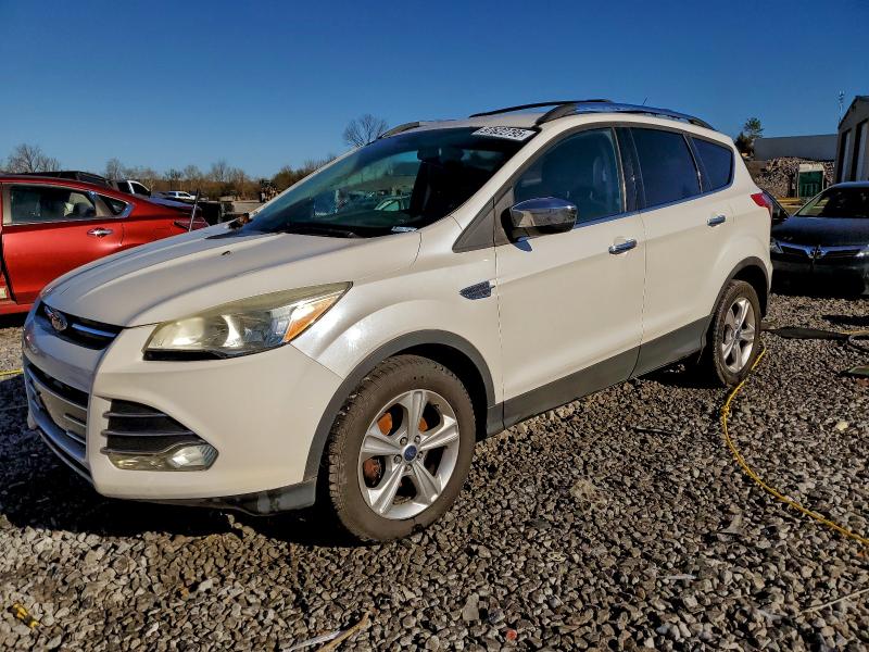 FORD ESCAPE SE 2014 with VIN 1FMCU0GX9EUC15649 - Photo from auction