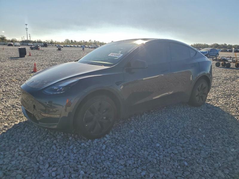 TESLA MODEL Y 2025 with VIN 7SAYGDED3SF262006 - Photo from auction