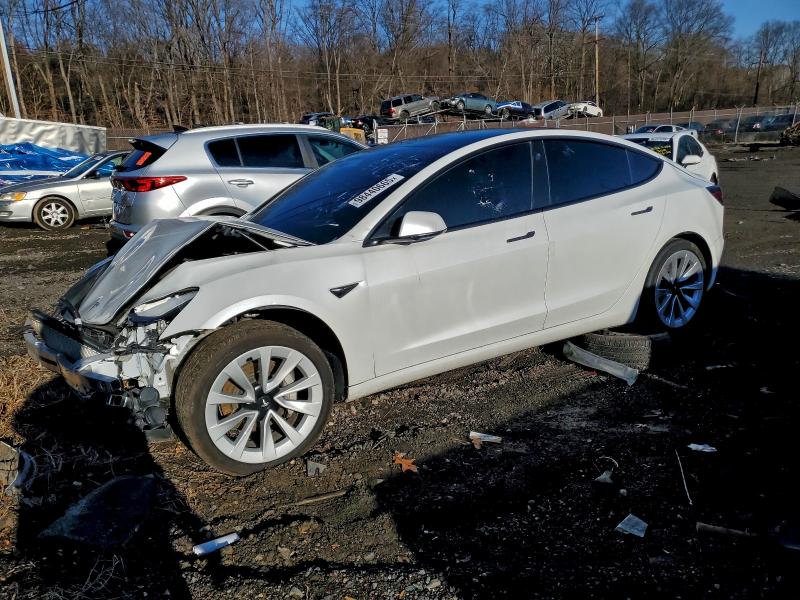 TESLA MODEL 3 2022 with VIN 5YJ3E1EA8NF186644 - Photo from auction