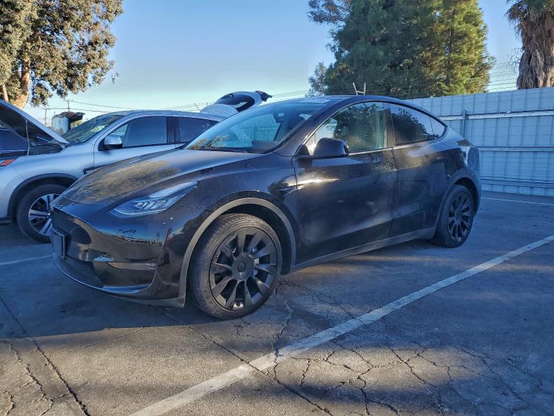 TESLA MODEL Y 2023 with VIN 7SAYGDEE1PA026824 - Photo from auction
