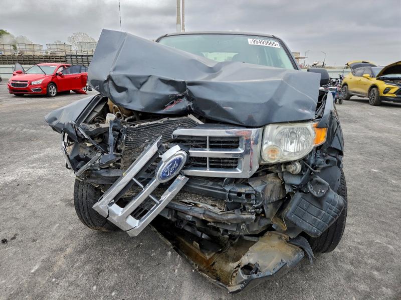 Photo 5 from auction – 2009 FORD ESCAPE with VIN 1FMCU02759KA19989