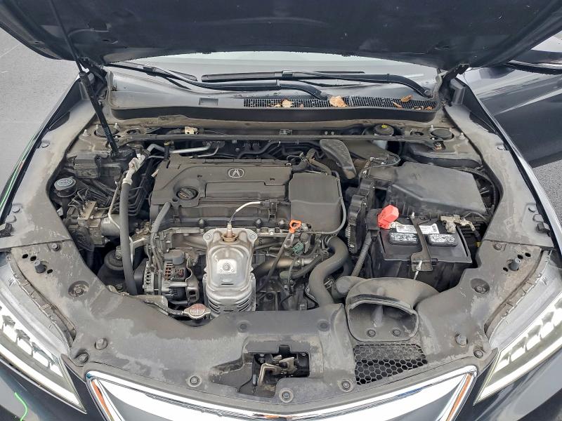 Photo 11 from auction – 2016 ACURA TLX with VIN 19UUB1F32GA008786