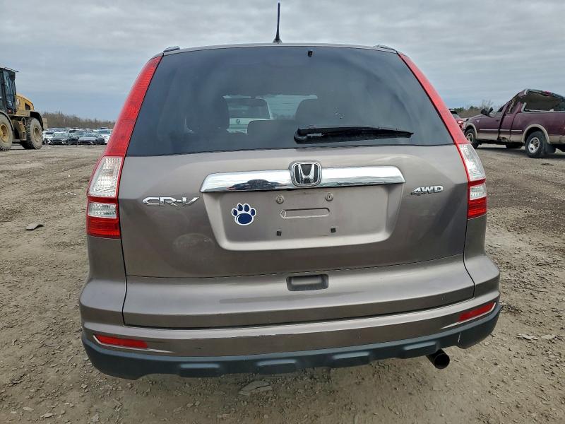 Photo 6 from auction – 2011 HONDA CR-V EX with VIN 5J6RE4H59BL025622