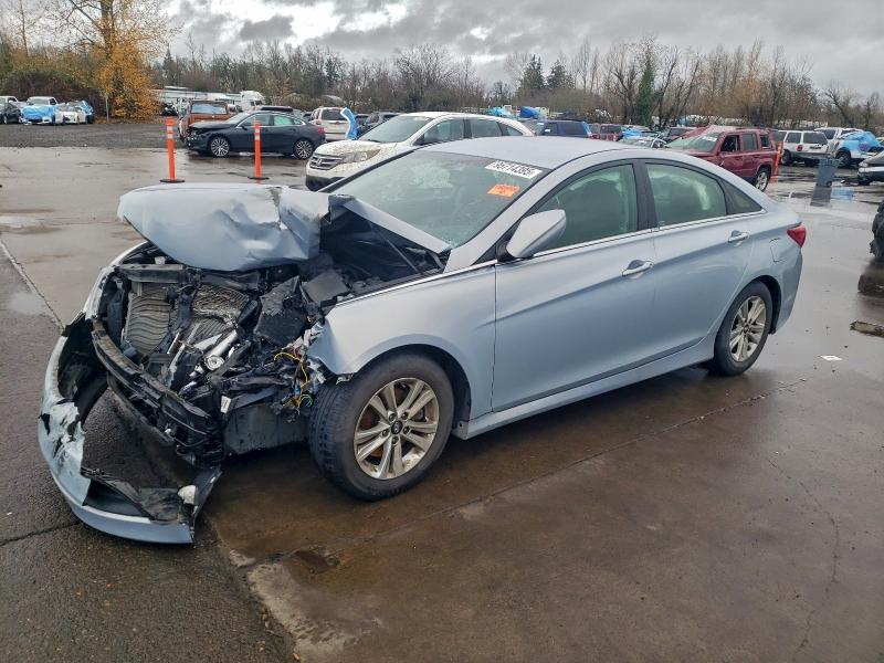 HYUNDAI SONATA GLS 2014 with VIN 5NPEB4AC7EH874596 - Photo from auction