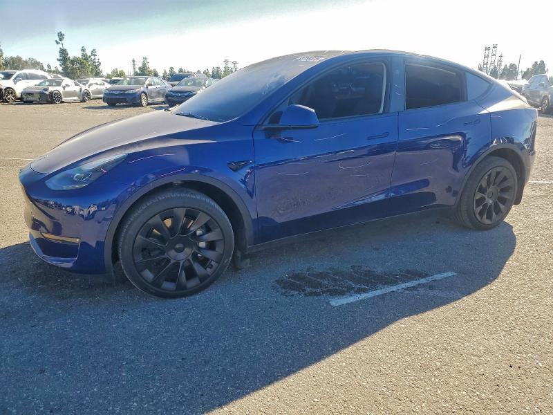 TESLA MODEL Y 2024 with VIN 7SAYGDEE6RA248987 - Photo from auction