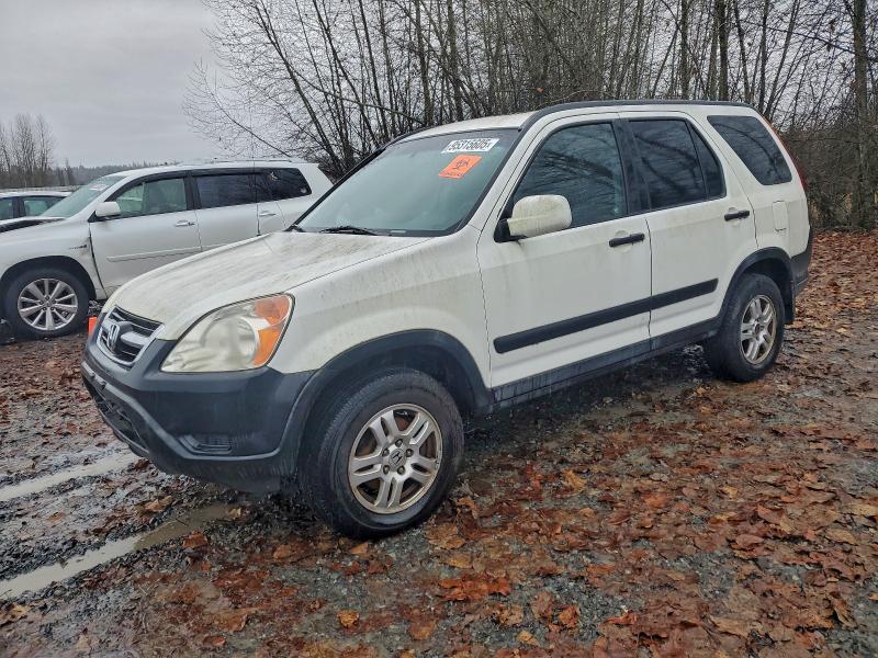 HONDA CR-V EX 2003 with VIN JHLRD78813C029236 - Photo from auction