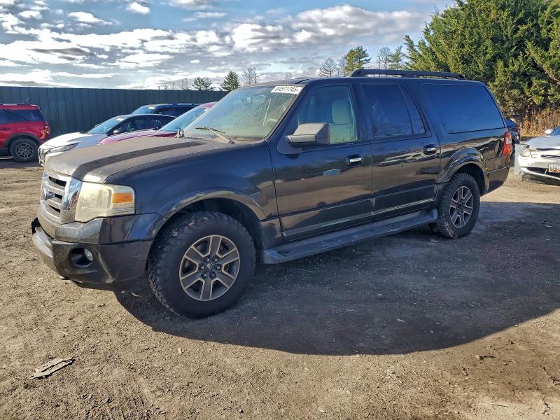Photo 1 from auction – 2010 FORD EXPEDITION with VIN 1FMJK1G50AEA71012
