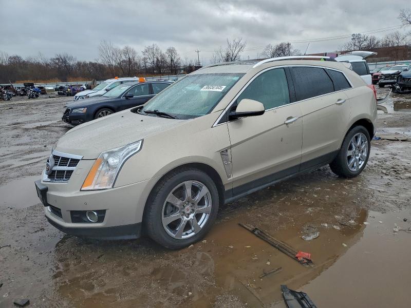 CADILLAC SRX PERFORMANCE COLLECTION 2010 with VIN 3GYFNEEY3AS500200 - Photo from auction