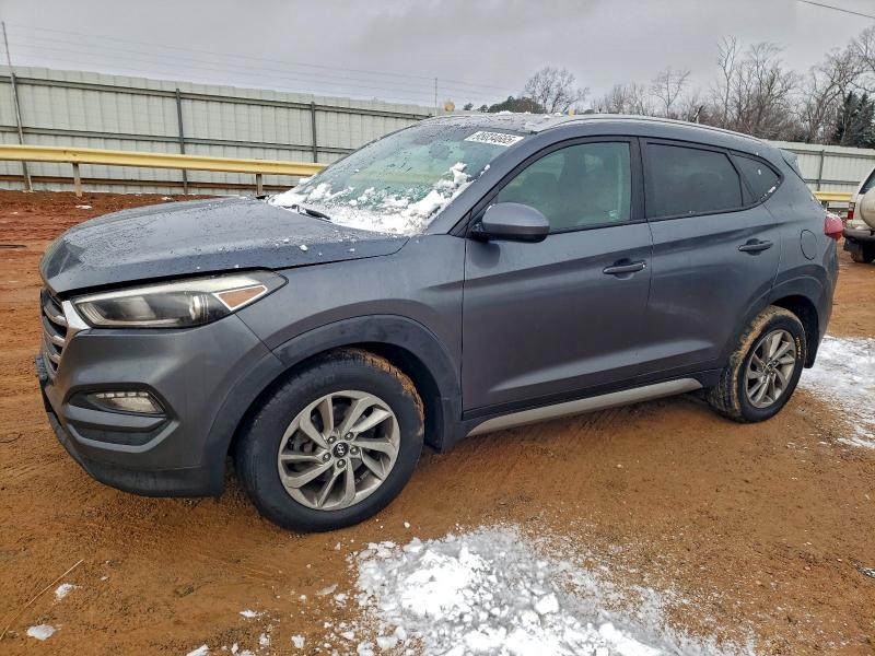 HYUNDAI TUCSON LIM 2017 with VIN KM8J3CA40HU251518 - Photo from auction