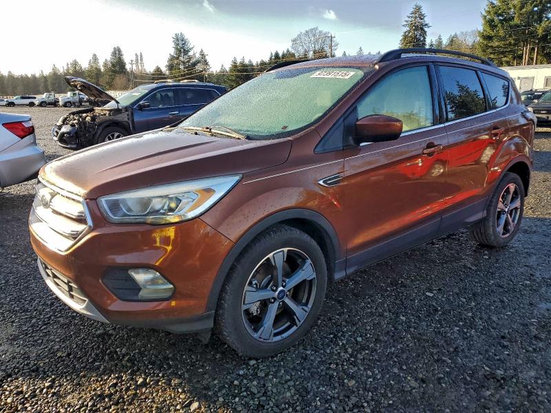 FORD ESCAPE 2017 with VIN 1FMCU0GD1HUA19652 - Photo from auction