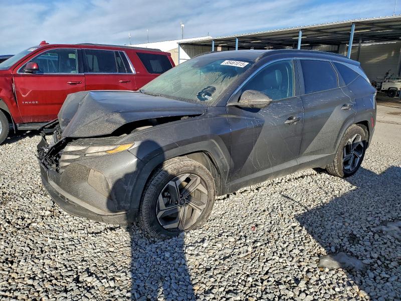 HYUNDAI TUCSON SEL 2024 with VIN 5NMJFCDEXRH309630 - Photo from auction
