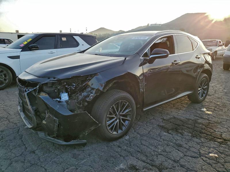 LEXUS NX 2023 with VIN 2T2GGCEZ3PC024453 - Photo from auction