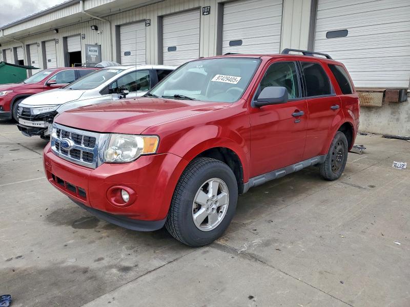 FORD ESCAPE XLT 2010 with VIN 1FMCU0D74AKA35019 - Photo from auction