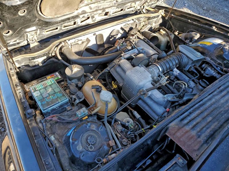Photo 11 from auction – 1987 BMW 635 CSI AU with VIN WBAEC8405H0614606