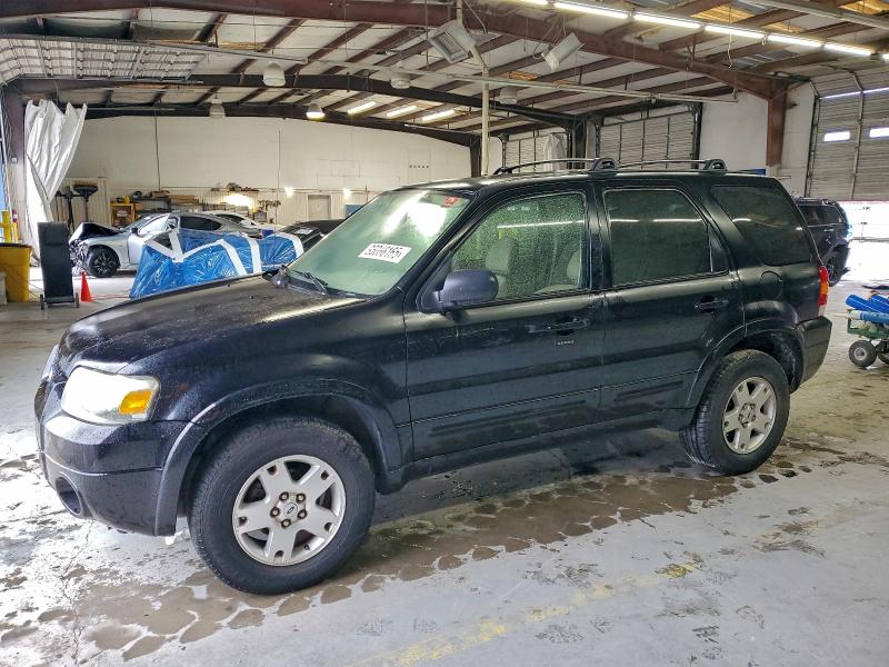 FORD ESCAPE LIM 2007 with VIN 1FMYU04147KB95458 - Photo from auction