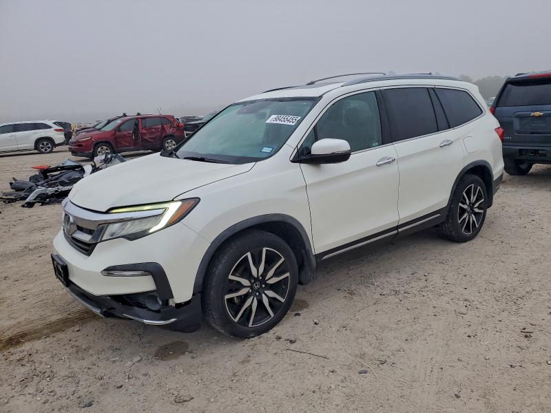 HONDA PILOT ELIT 2019 with VIN 5FNYF6H02KB036642 - Photo from auction