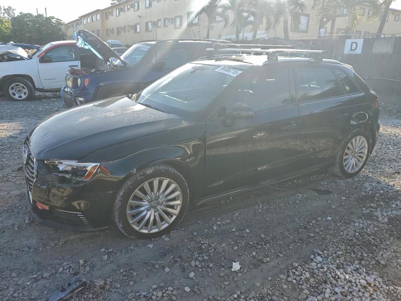 AUDI A3 E-TRON 2017 with VIN WAUUPBFF9HA141561 - Photo from auction