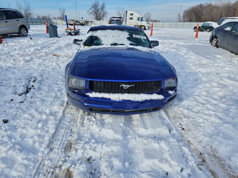 Photo 5 from auction – 2005 FORD MUSTANG with VIN 1ZVFT80N855226791