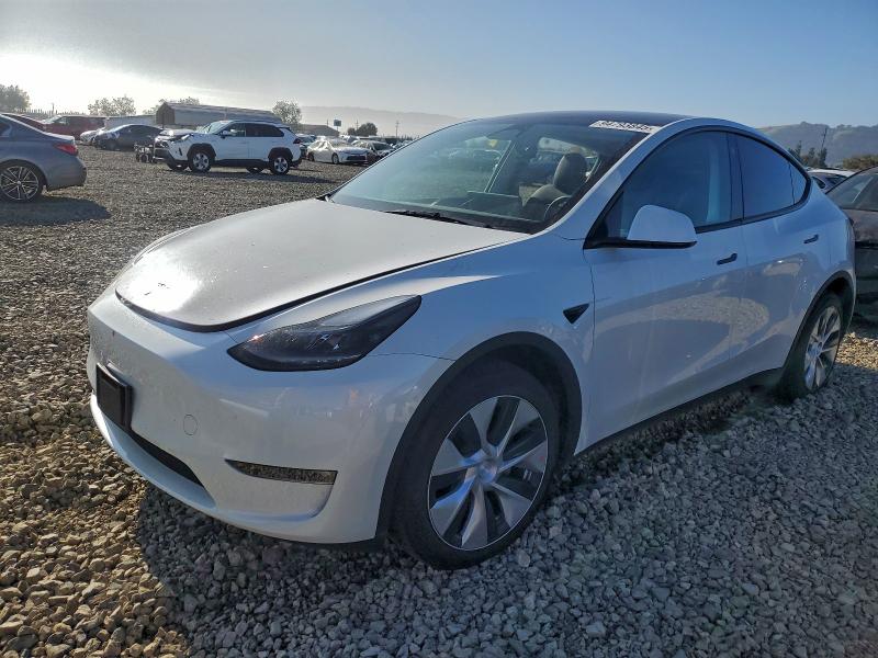 TESLA MODEL Y 2023 with VIN 7SAYGDEE1PF747910 - Photo from auction