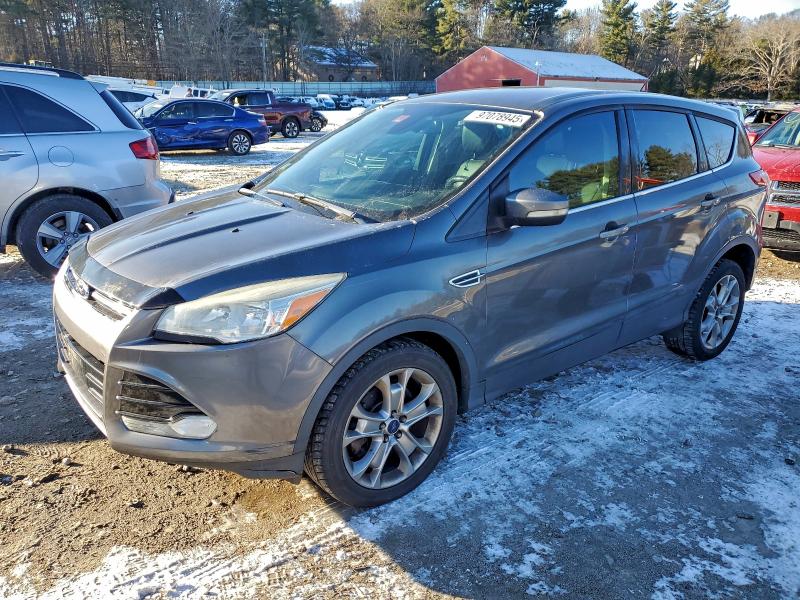 FORD ESCAPE SEL 2013 with VIN 1FMCU0H94DUD49323 - Photo from auction