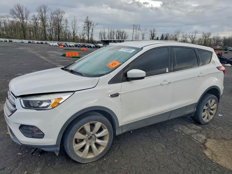FORD ESCAPE 2019 with VIN 1FMCU0GD7KUB07399 - Photo from auction