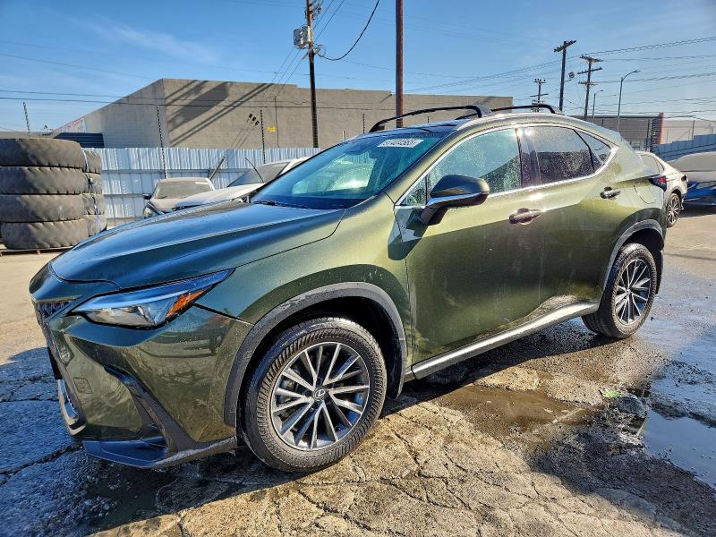 LEXUS NX 250 BAS 2024 with VIN 2T2ADCAZ1RC012020 - Photo from auction