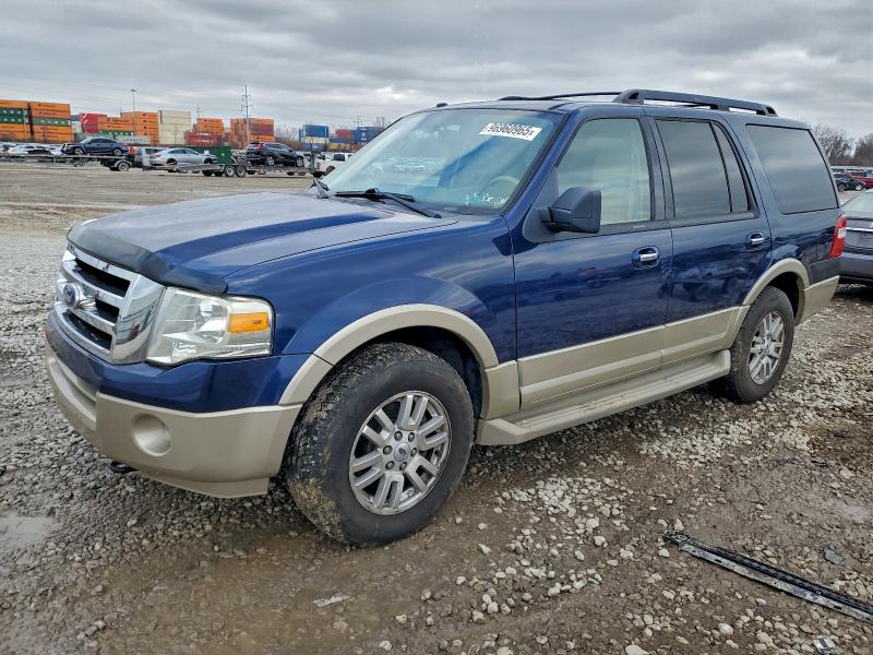 FORD EXPEDITION 2010 with VIN 1FMJU1J57AEB57064 - Photo from auction