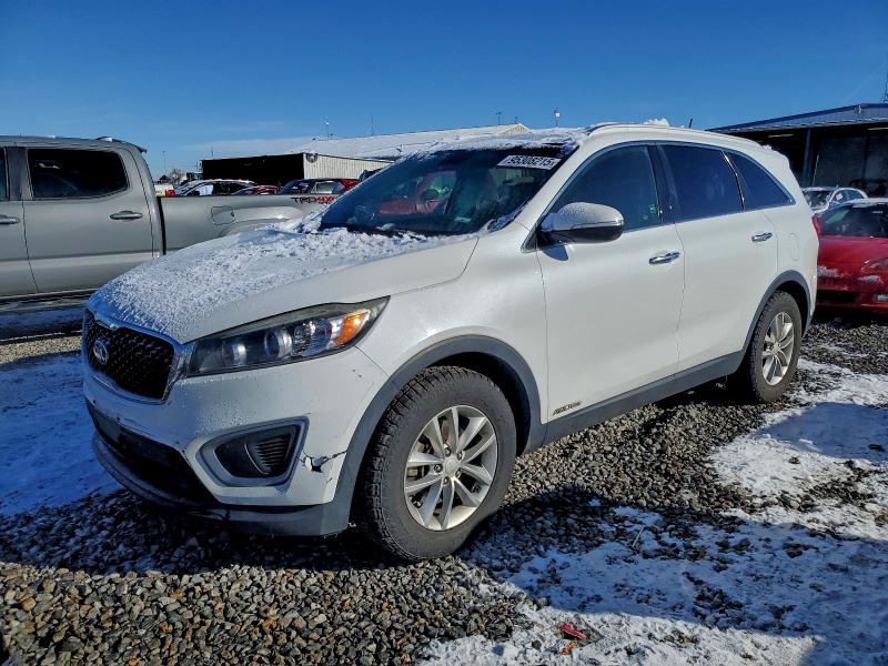 KIA SORENTO LX 2017 with VIN 5XYPGDA55HG218310 - Photo from auction