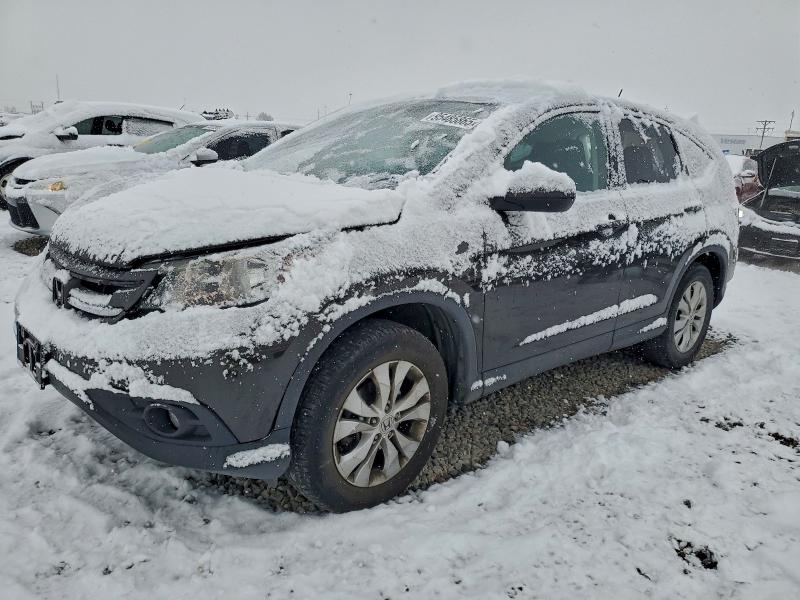 Photo 1 from auction – 2014 HONDA CR-V EX with VIN 2HKRM4H50EH659063
