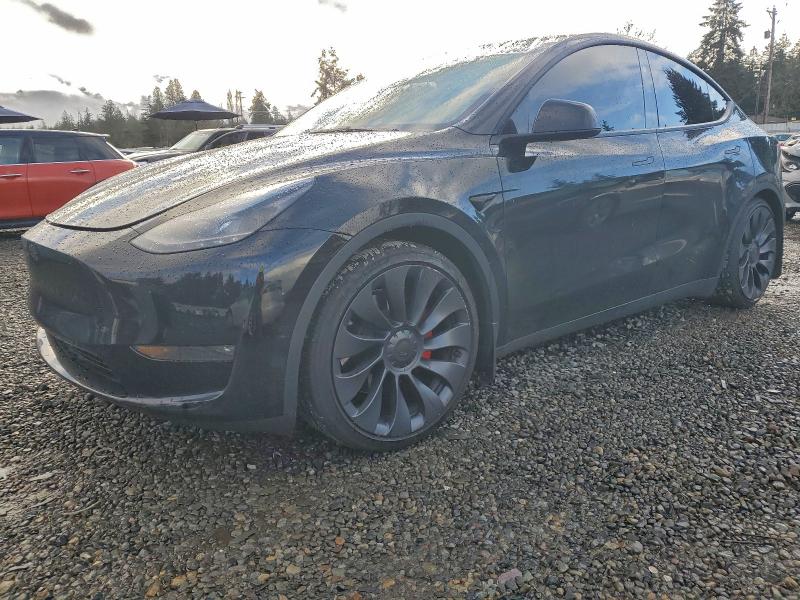 TESLA MODEL Y 2024 with VIN 7SAYGDEF6RF061129 - Photo from auction