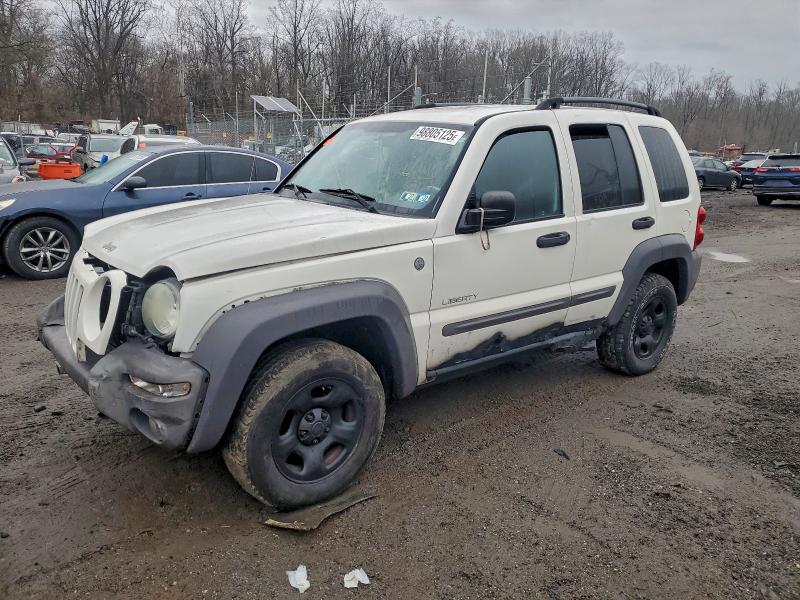 JEEP LIBERTY SP 2004 with VIN 1J4GL48K64W270320 - Photo from auction