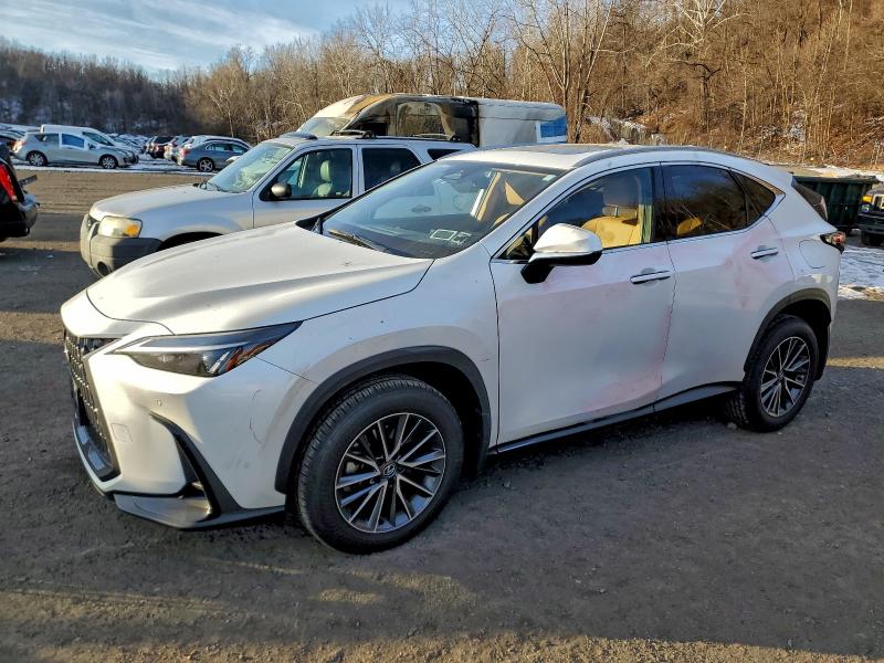 2025 LEXUS NX 350 BAS - Търг №95787755