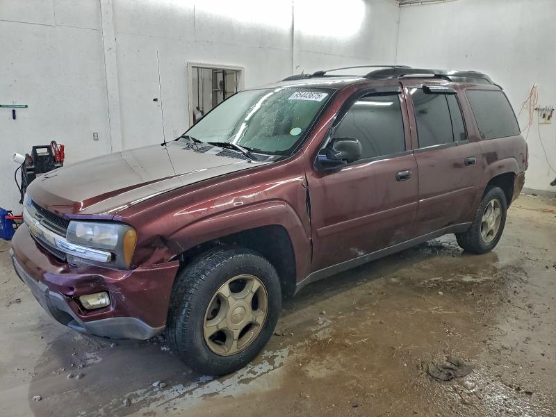 CHEVROLET TRAILBLAZE 2006 with VIN 1GNES16S166151358 - Photo from auction