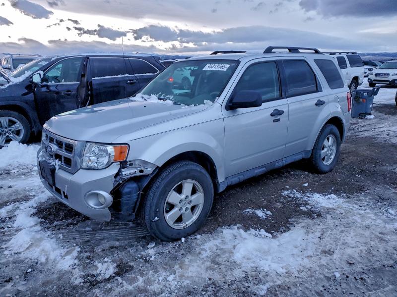 FORD ESCAPE XLT 2011 with VIN 1FMCU9D71BKB67175 - Photo from auction