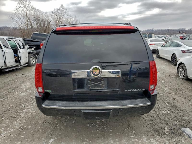 Photo 6 from auction – 2010 CADILLAC ESCALADE P with VIN 1GYUKCEF2AR277850