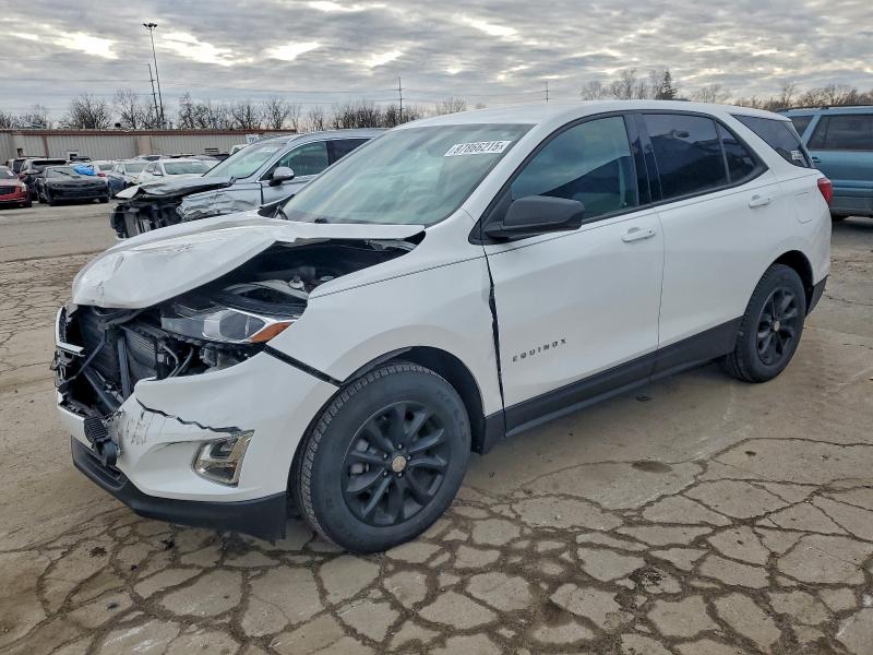 CHEVROLET EQUINOX LS 2019 with VIN 3GNAXHEVXKS662917 - Photo from auction