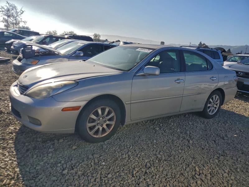 LEXUS ES 300 2002 with VIN JTHBF30G425021041 - Photo from auction