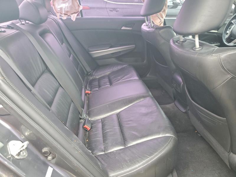 Photo 10 from auction – 2010 HONDA ACCORD EXL with VIN 1HGCP2F85AA051671