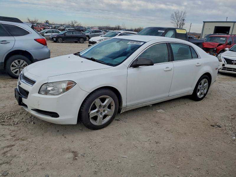 CHEVROLET MALIBU 2010 with VIN 1G1ZA5E04AF283942 - Photo from auction
