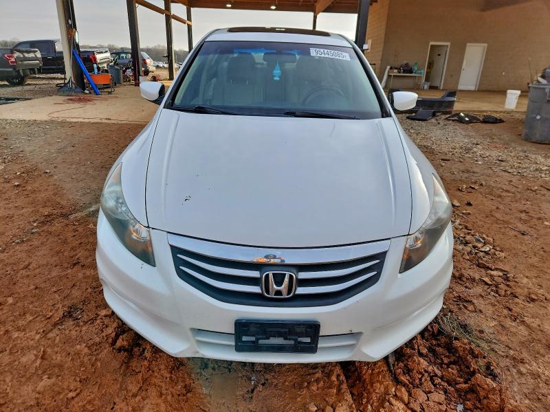 Photo 5 from auction – 2011 HONDA ACCORD EXL with VIN 1HGCP3F87BA025211