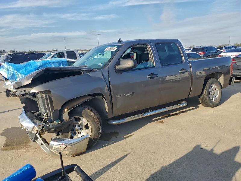CHEVROLET SILVERADO 2013 with VIN 3GCPCSE00DG173299 - Photo from auction