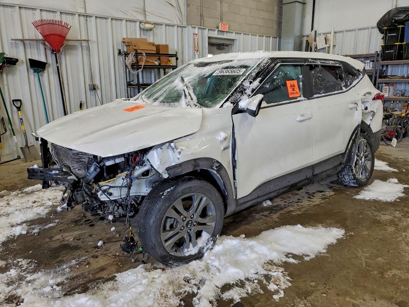 KIA SELTOS LX 2021 with VIN KNDEPCAA4M7095900 - Photo from auction